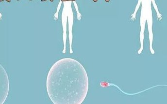 盘点孕中期对睡觉姿势的要求，左侧卧位最适合要知晓