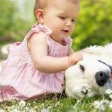 泰国做试管体验怎么样？过来人经历分享