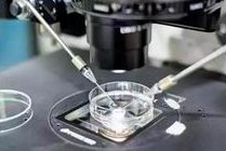 讲解国内哪些地方可以做第三代试管婴儿？第三代试管婴儿能筛查哪些遗传病？