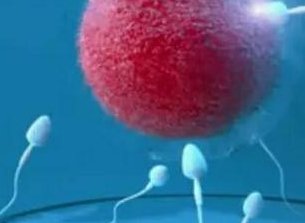 天津地区有哪些私立的机构可以做试管技术？乳糖不耐受八大忌口食物