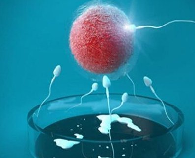 深度解析：泰国三代试管婴儿全部过程解析，优生优育不是梦！