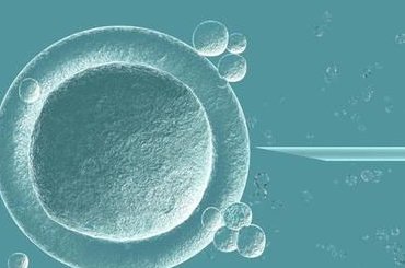 残角子宫能做试管婴儿助孕吗？残角子宫怀孕的注意事项，哪家三甲医院更适合在天津进行残角子宫手术呢？